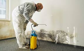 Best Asbestos and Lead Testing During Mold Inspection  in Quincy, MA